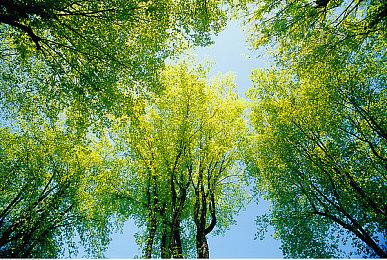 《无畏契约》斩获艾美奖 拳头游戏开启EGOT征程